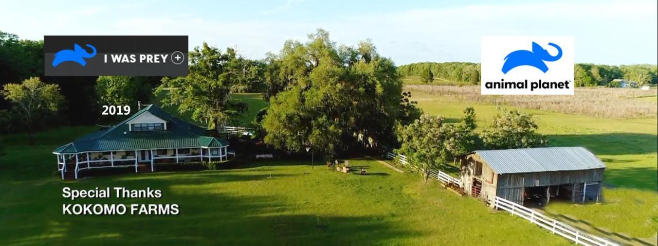 Kokomo Farms Live Oak Exterior foto