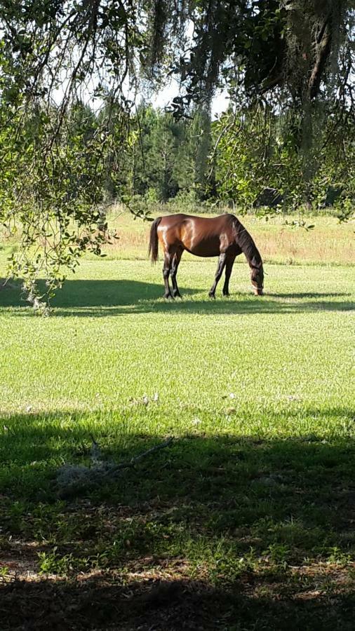 Kokomo Farms Live Oak Exterior foto