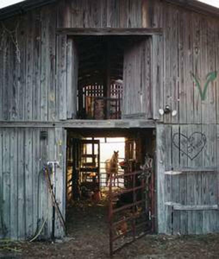 Kokomo Farms Live Oak Exterior foto