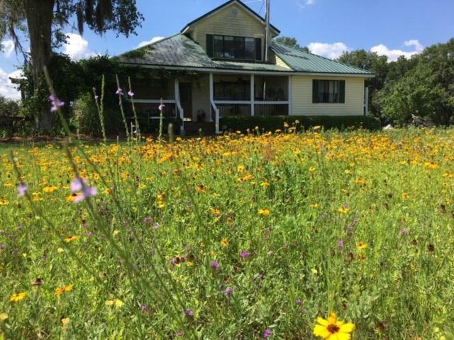 Kokomo Farms Live Oak Exterior foto